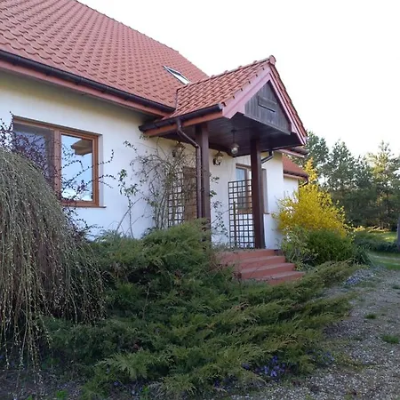 Villa Dom Prusinowo 31a *