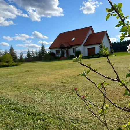 Villa Dom Prusinowo 31a